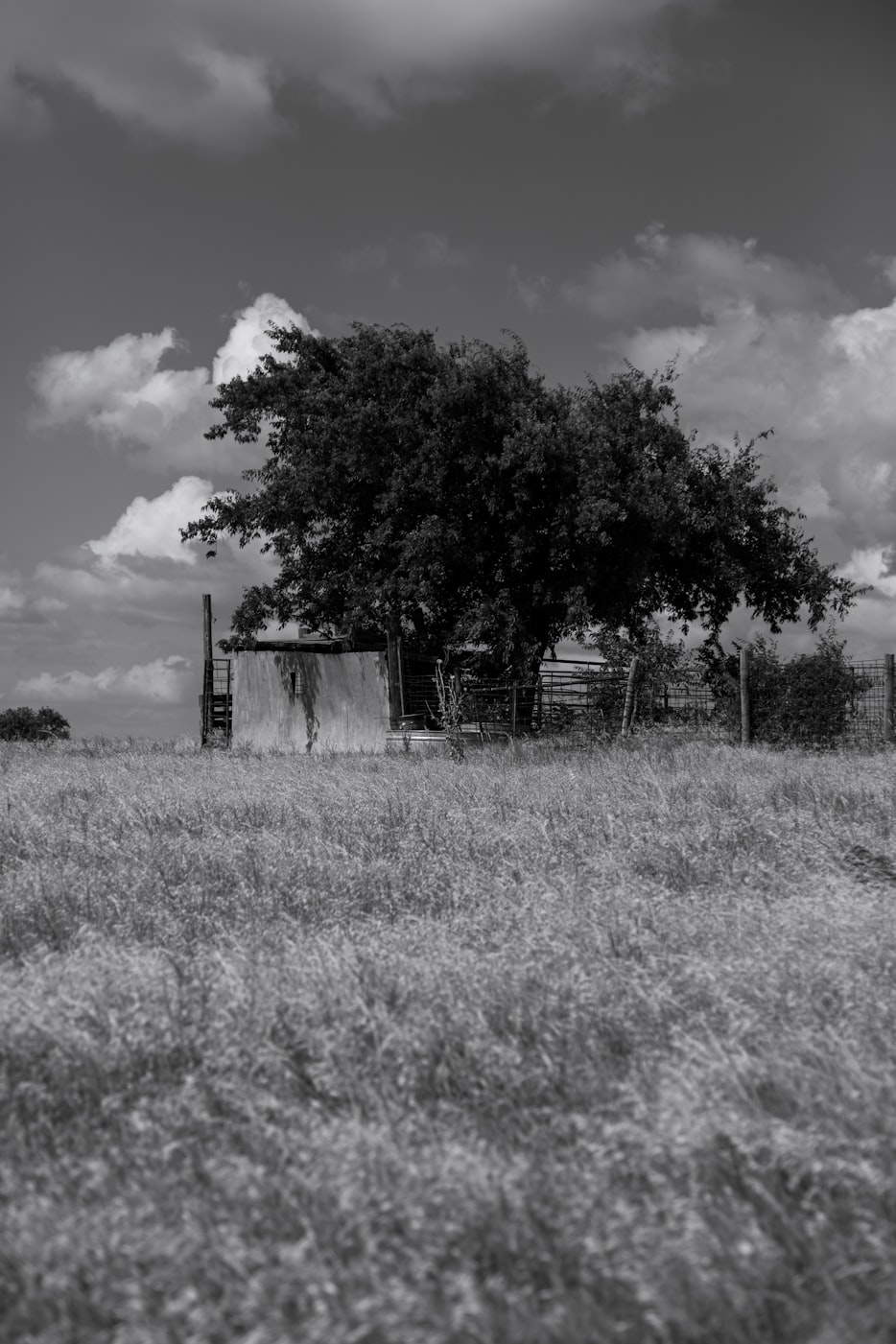 秋风起叶舞新篇，自然与人生的交响乐章启示录