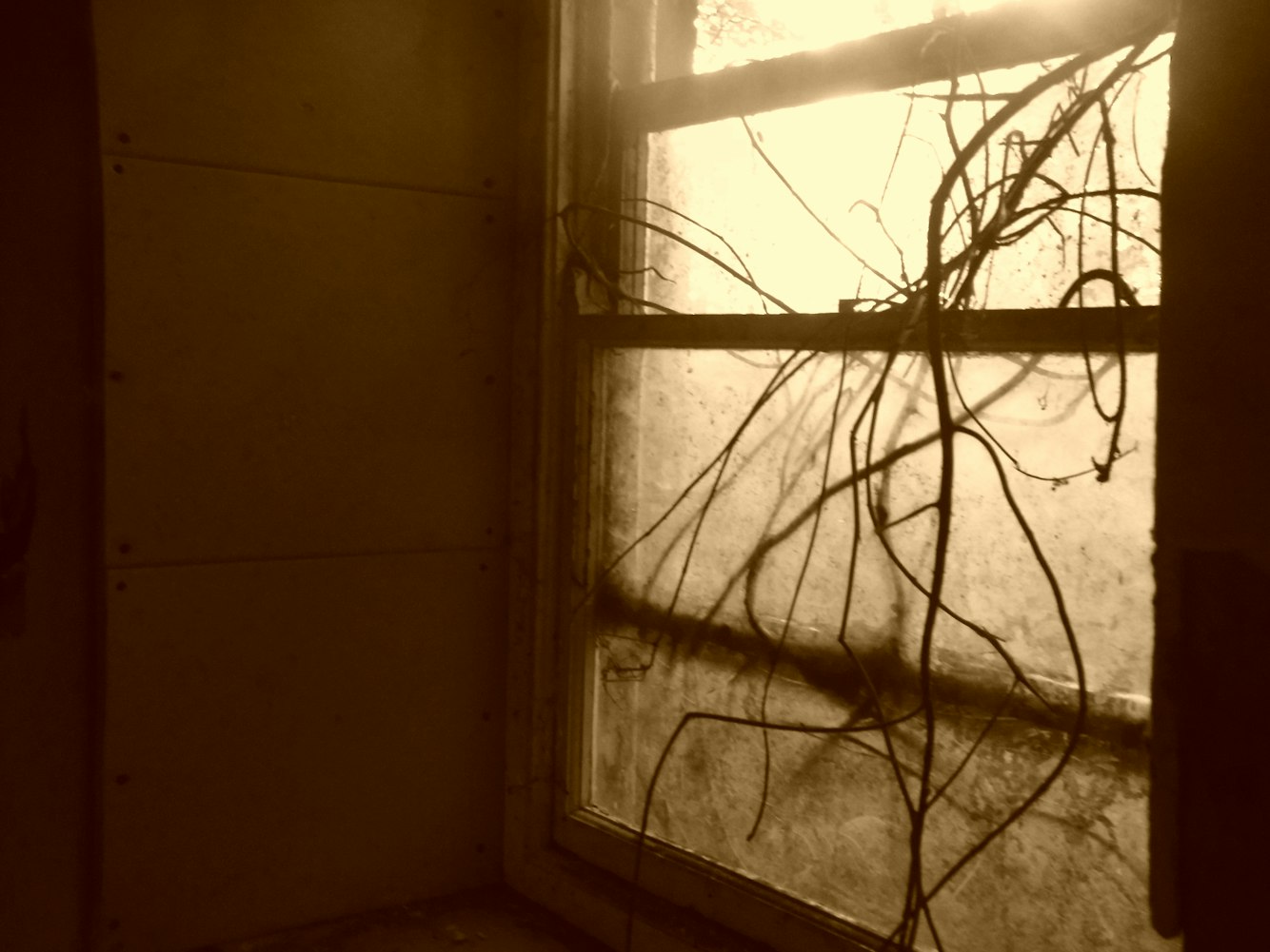 莱芜旧村改造最新动态，重塑乡村，迈向美好未来