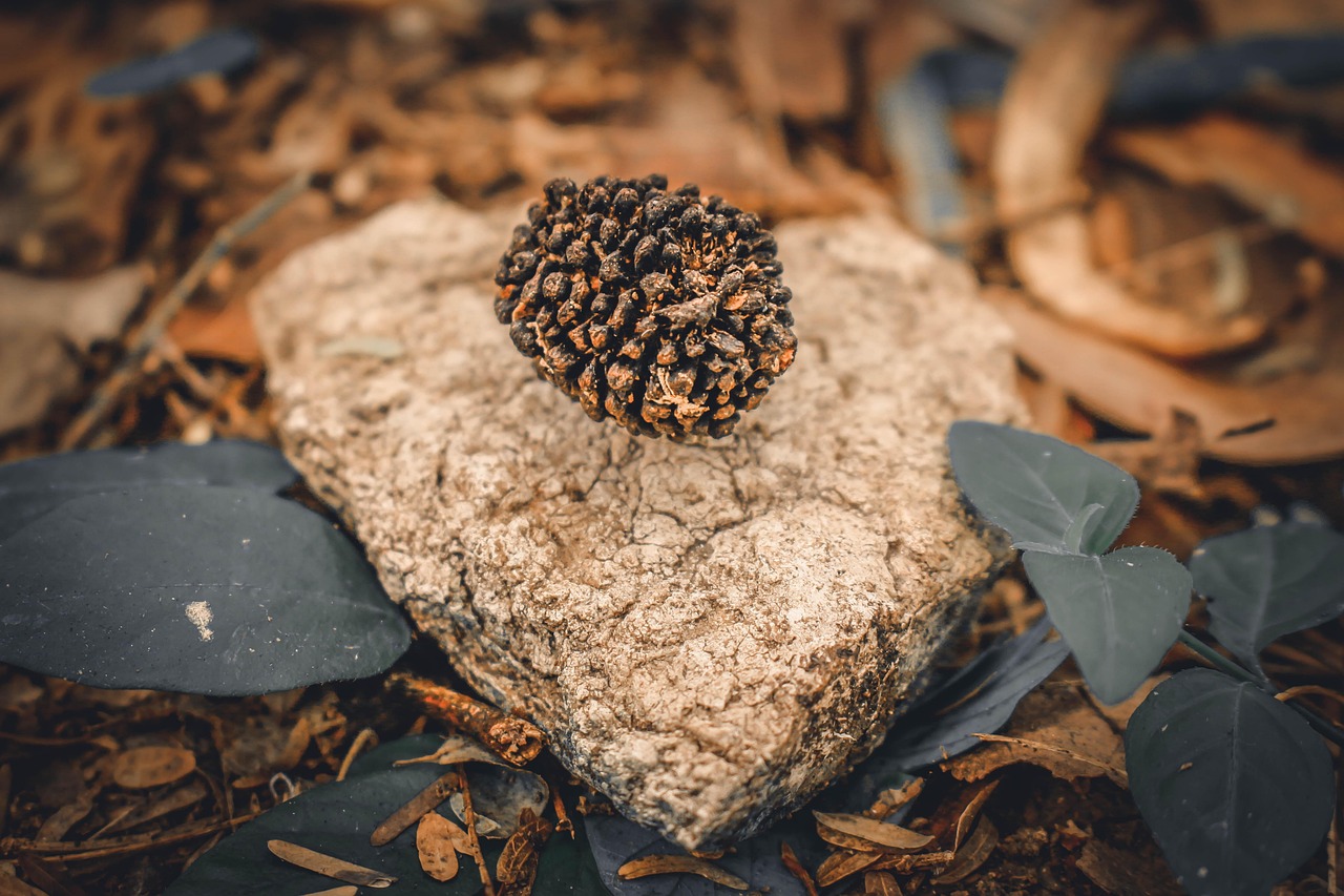 莱芜旧村改造最新动态,重塑乡村,迈向美好未来