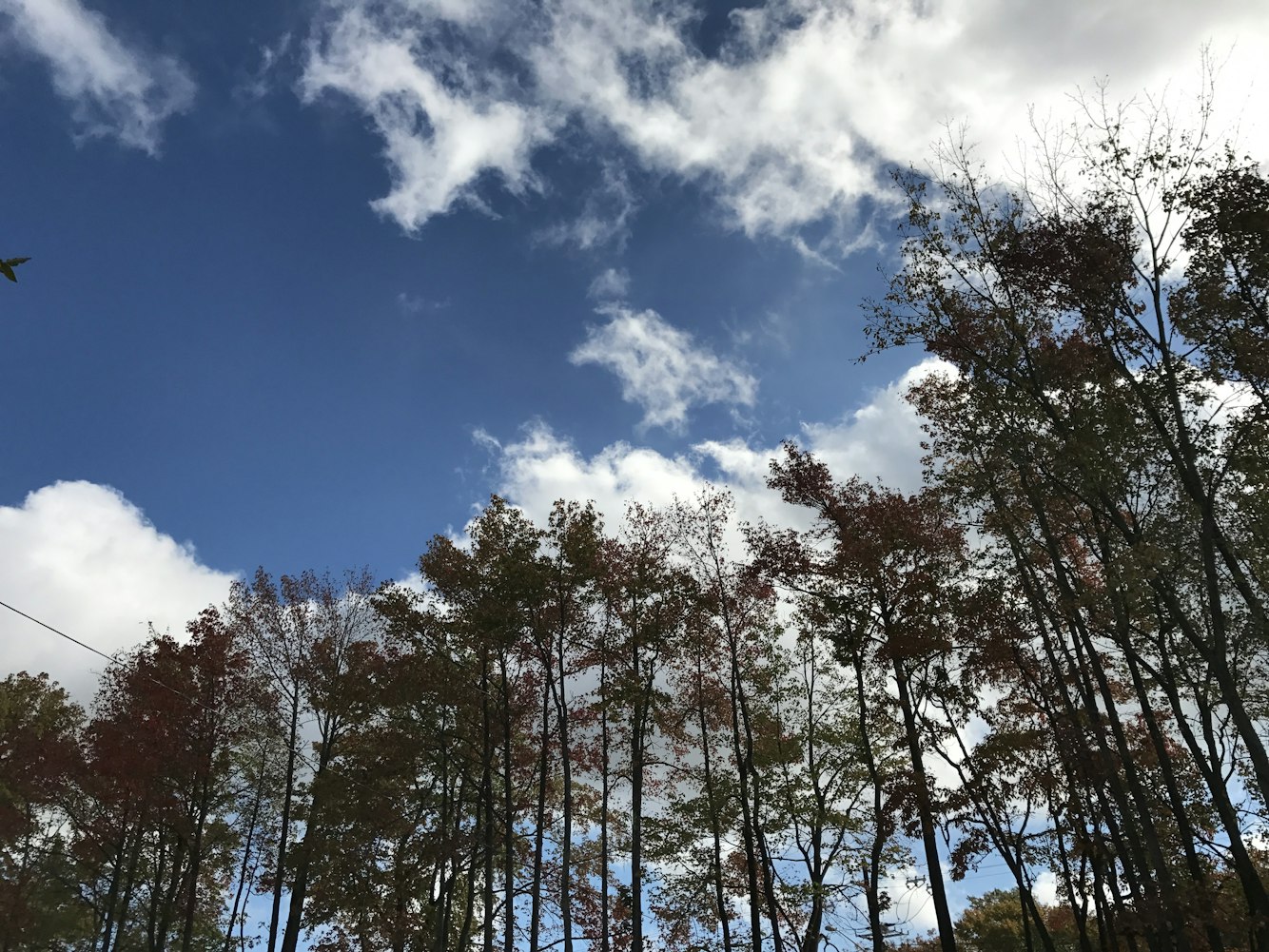 动漫景物壁纸，美化空间的视觉盛宴