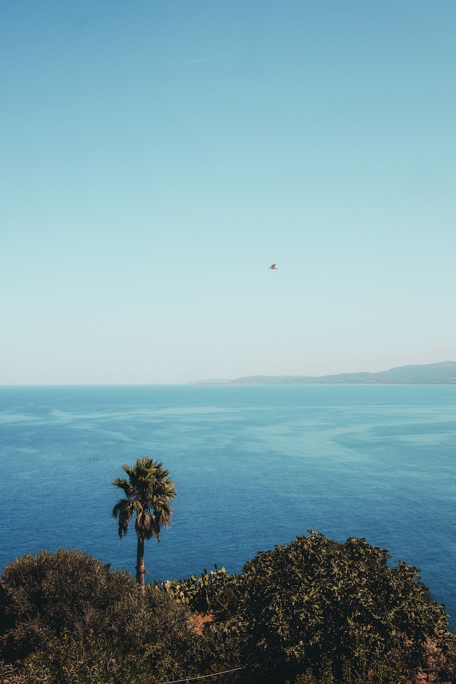 沌口街城中村动态更新，探索城市更新与社区发展的融合之路