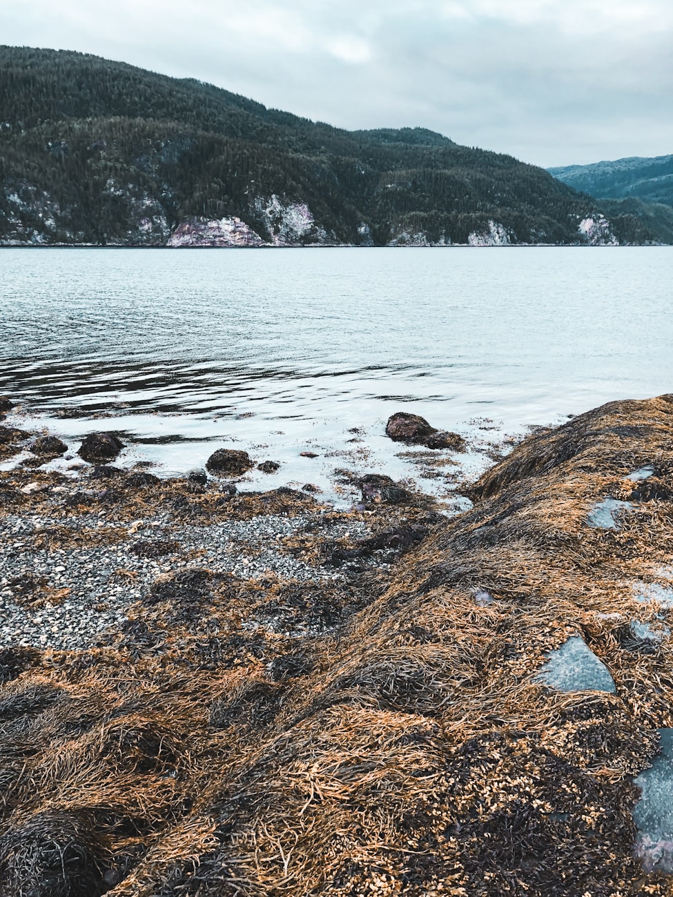 安徽疫情最新动态，全面应对，守护家园安宁