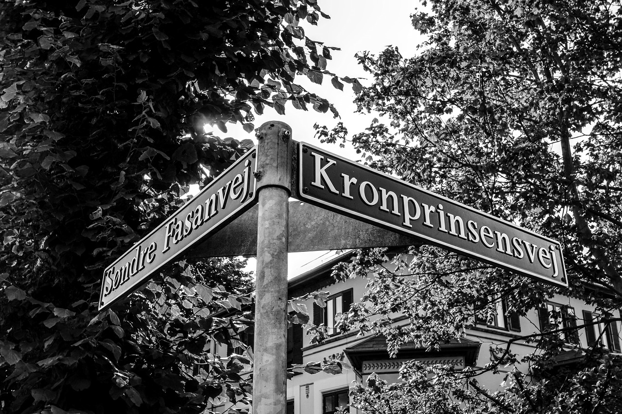 南昌象湖新房动态揭秘，市场趋势解析与购房指南