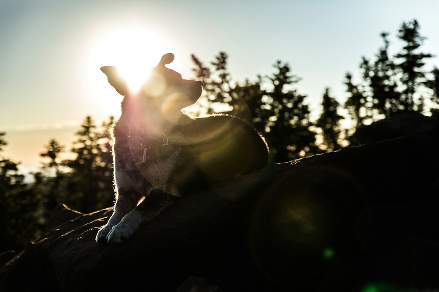 朴树最新动态，音乐之旅开启新篇章