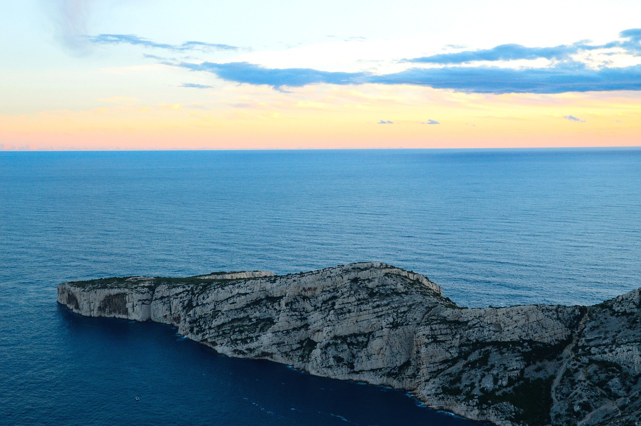 啦啦跑腿资讯更新,即时物流领域的最新动态与发展趋势探索