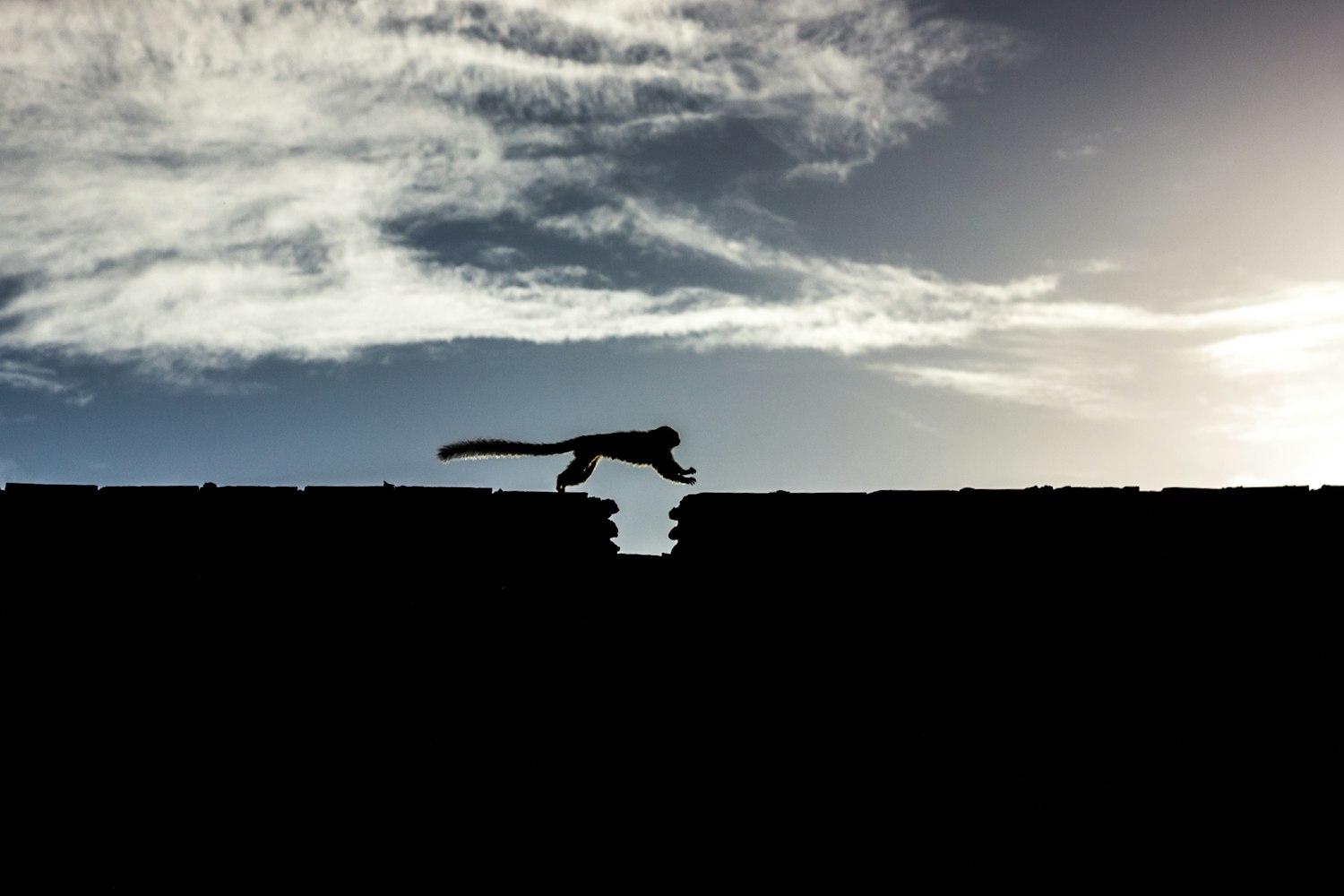 Z先生新作揭秘,探索未知与艺术边界的壮丽之旅