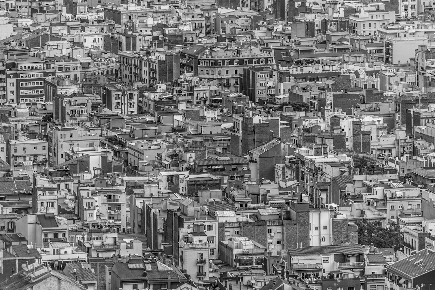 异镇电视剧剧情介绍与深度解析