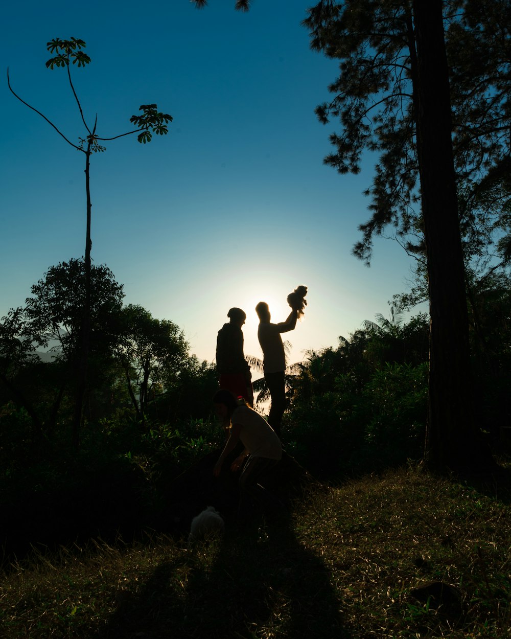 印度电影中的永恒爱情,绚烂光影中的情感绽放