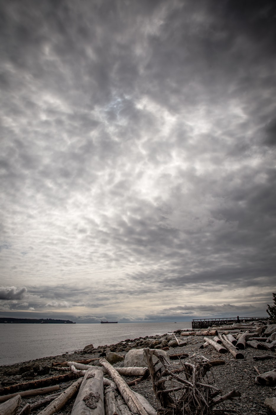 加拿大范博乔最新动态揭秘，前沿科技与生活融合的新篇章探索