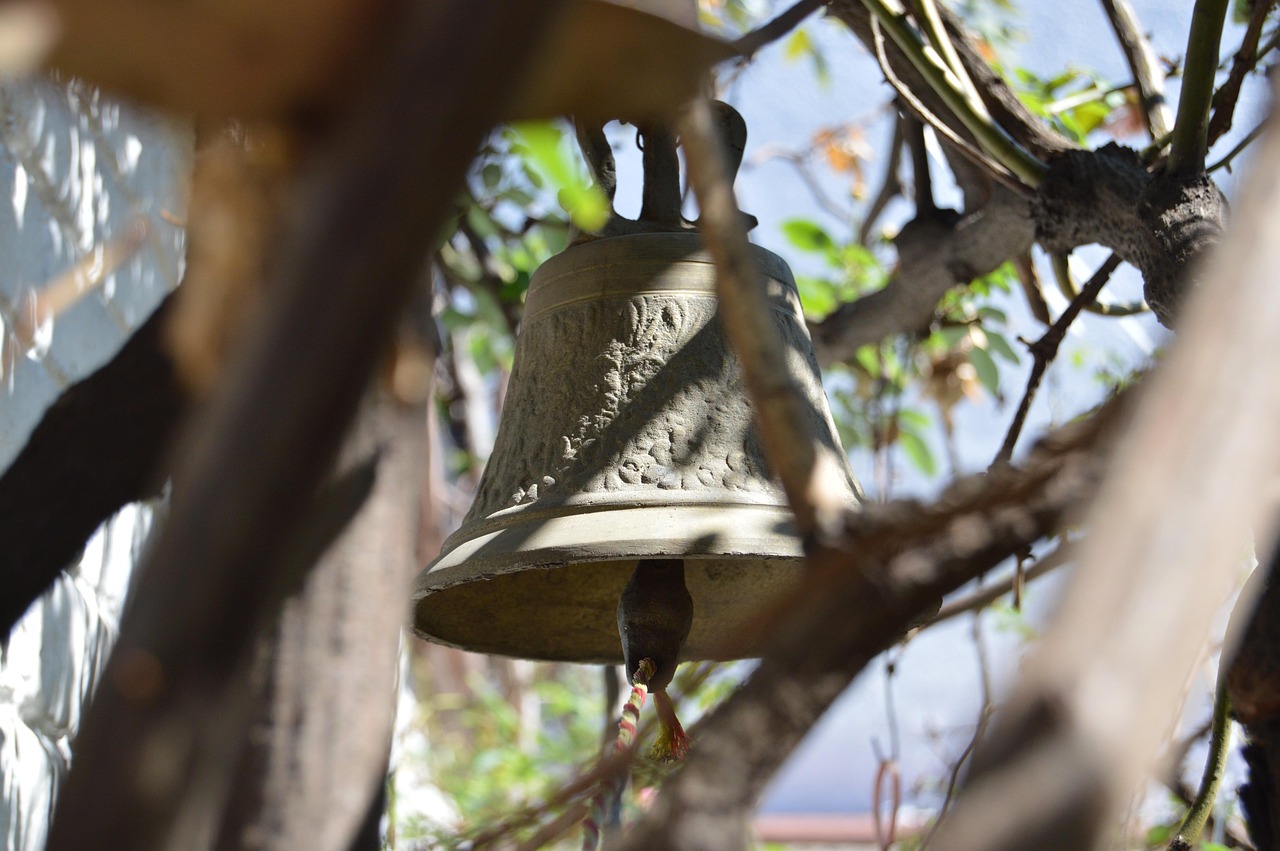 最新2017现货动态,市场趋势、机遇与挑战并存的分析与展望