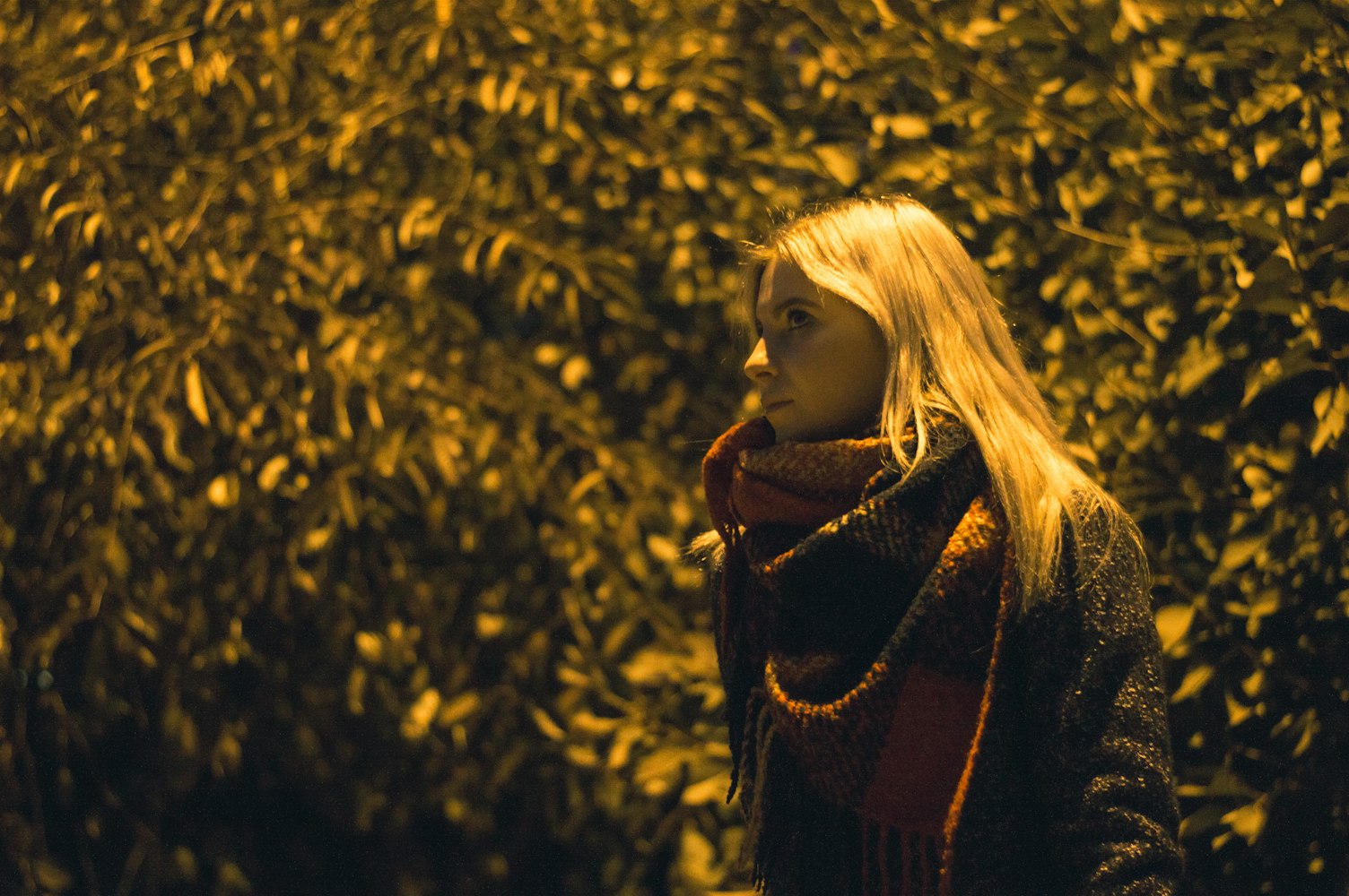 最好的时光演员表，璀璨星辰塑造经典角色