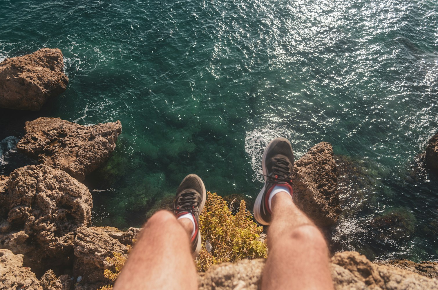 海洋奇幻之旅，动漫电影里的鱼世界