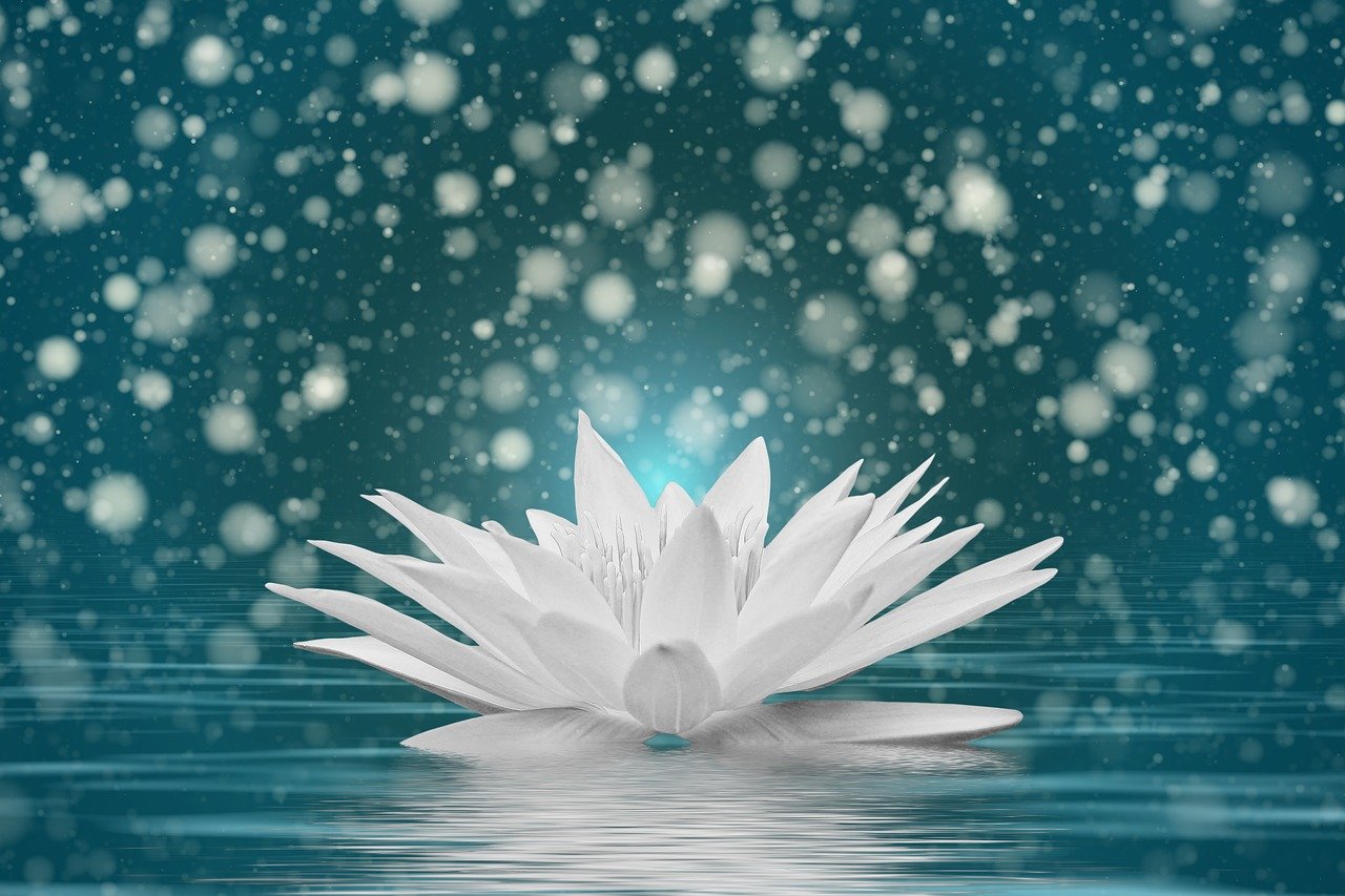 探寻健康之道，当下养生行情大观