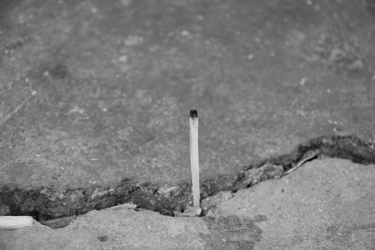 火柴网资讯更新,深度解读行业最新动态与趋势