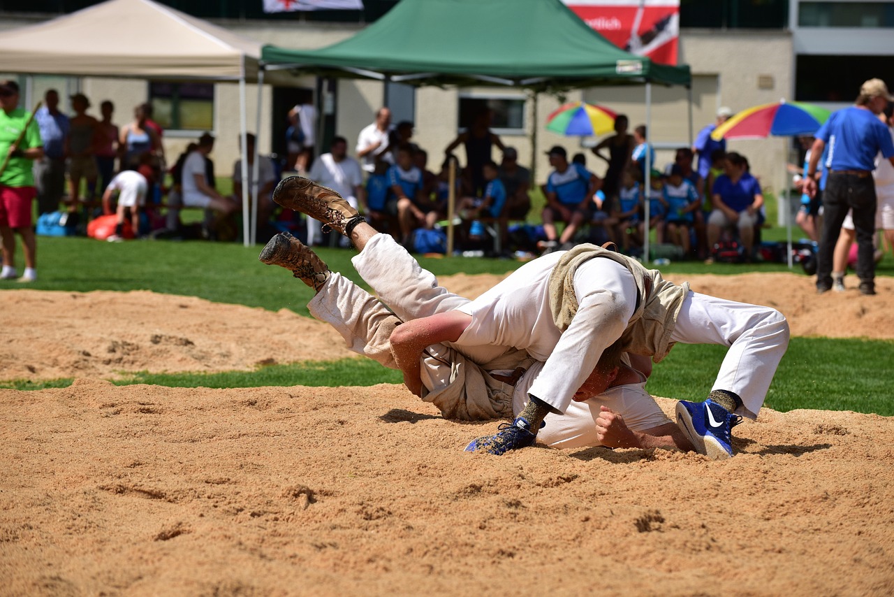 探寻中华武术的多元展现与比赛分类解析