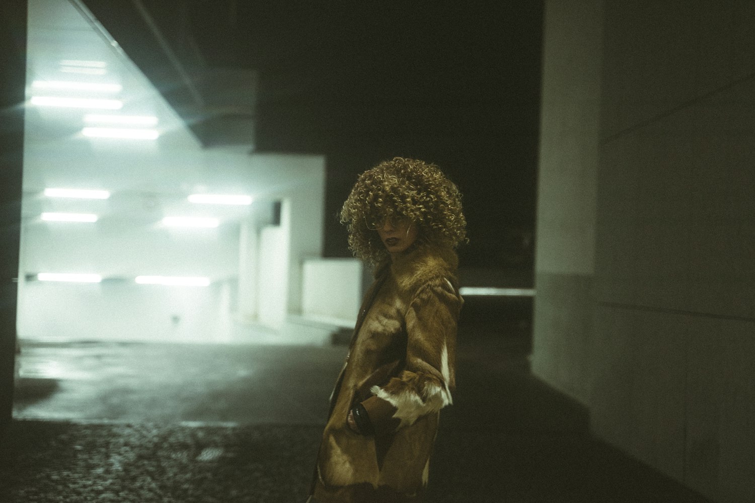 龙在中国电影，千年文化象征与影视艺术的完美融合