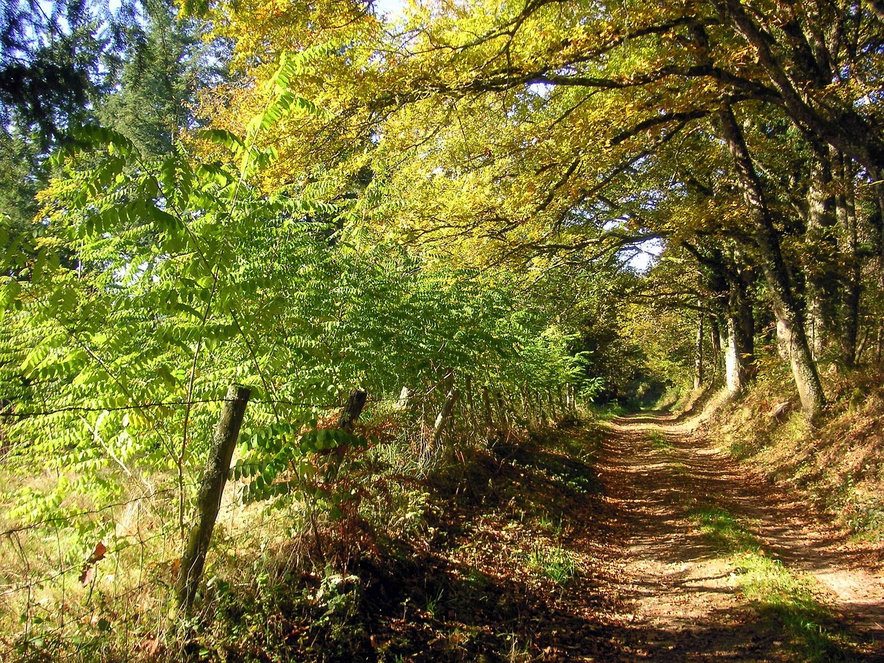 杞县二手房最新信息平台，洞悉市场动态，智能购房决策助手