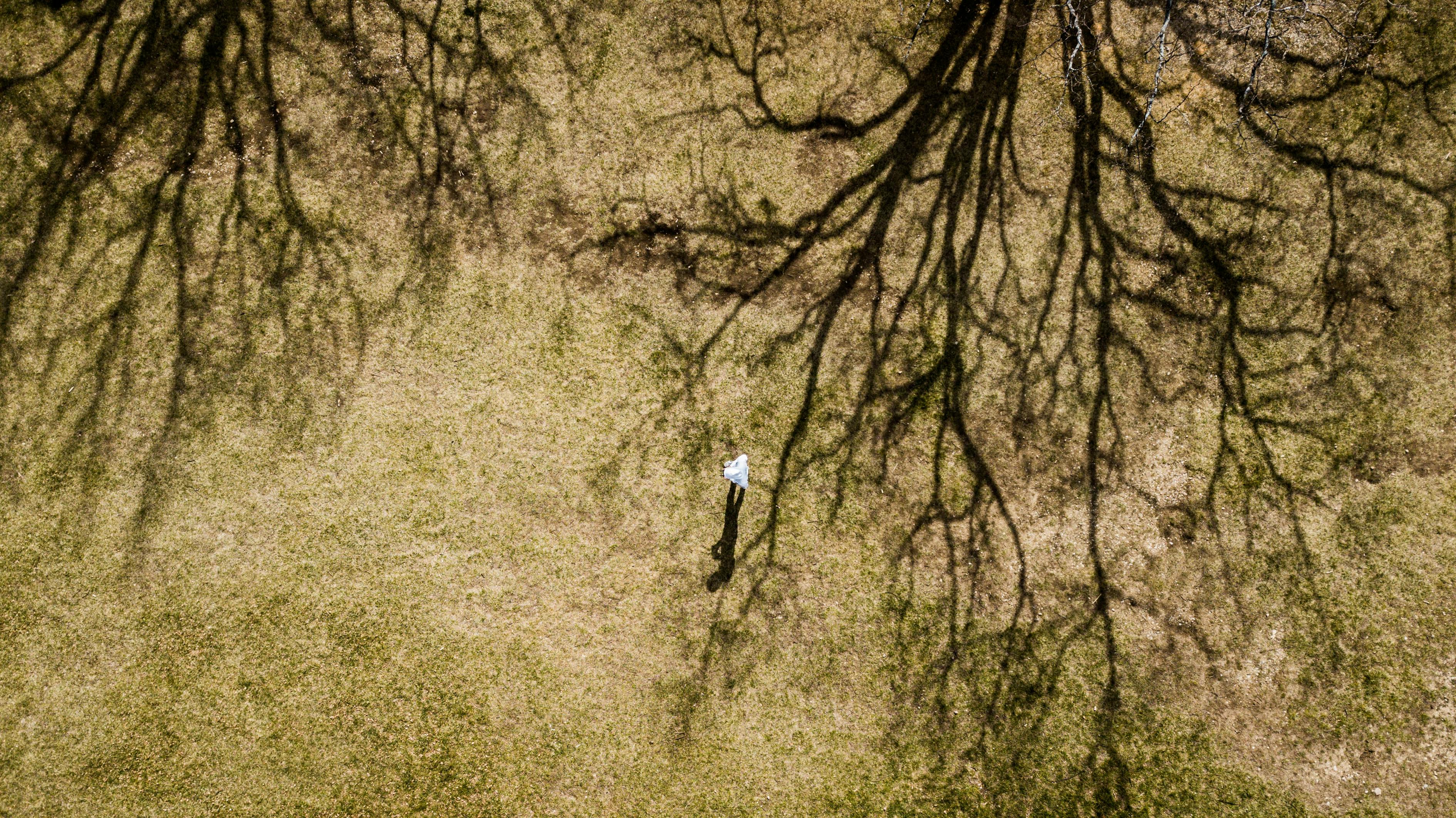 探索新闻前沿，掌握资讯动态——头条最新头条资讯速递