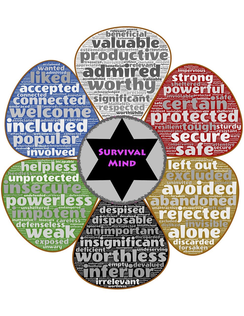 花生价格实时动态,市场走势、影响因素及未来展望分析