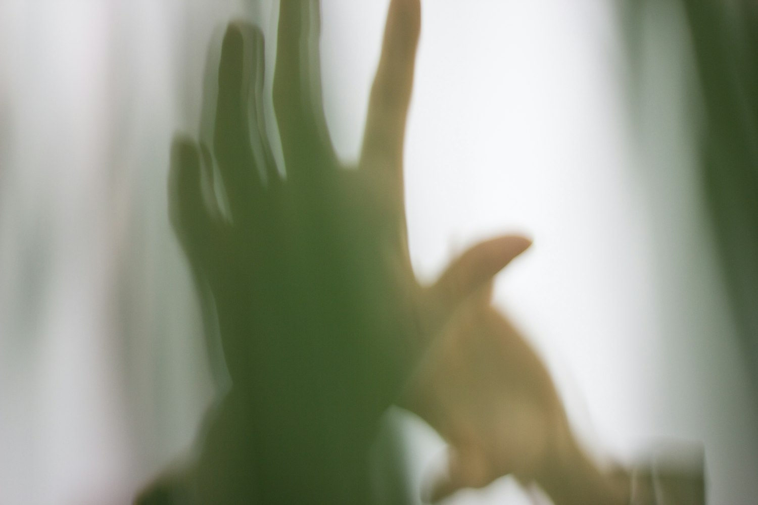 甘肃人事任免动态揭秘，人事变迁洞悉发展脉络