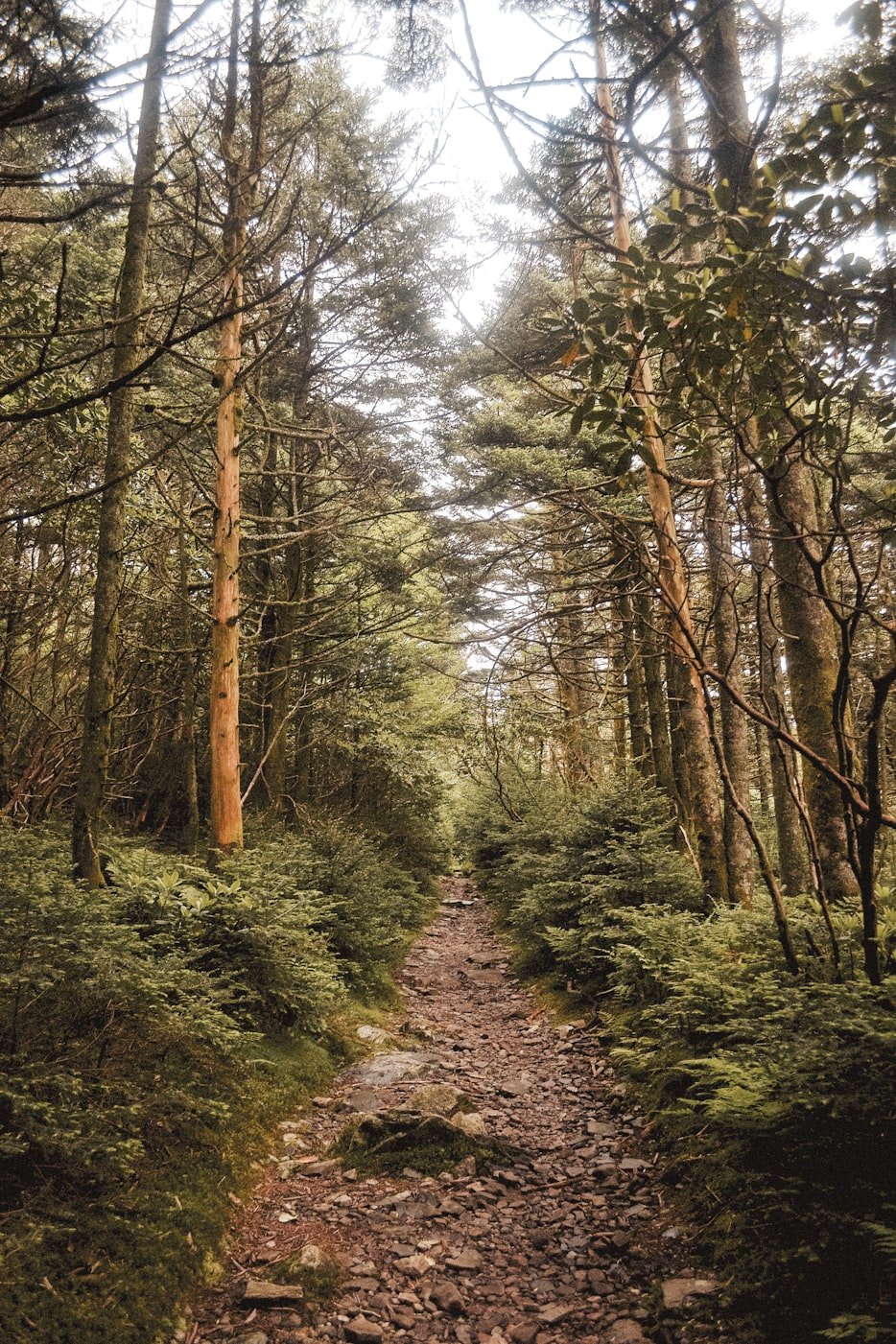 探索技术与艺术融合之美，月光视频最新动态速递