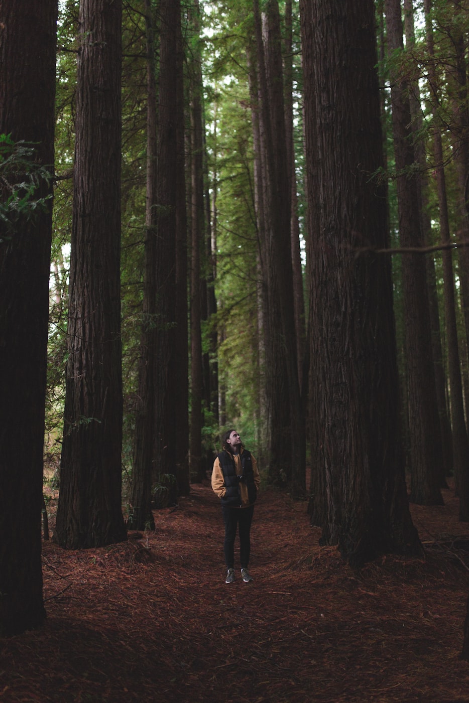 最新电影资讯,探索电影世界的最新动态