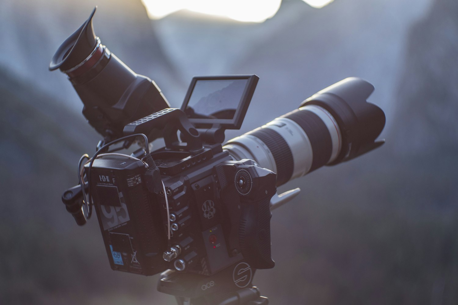 电影港最新动态,引领影视潮流,树立新标杆