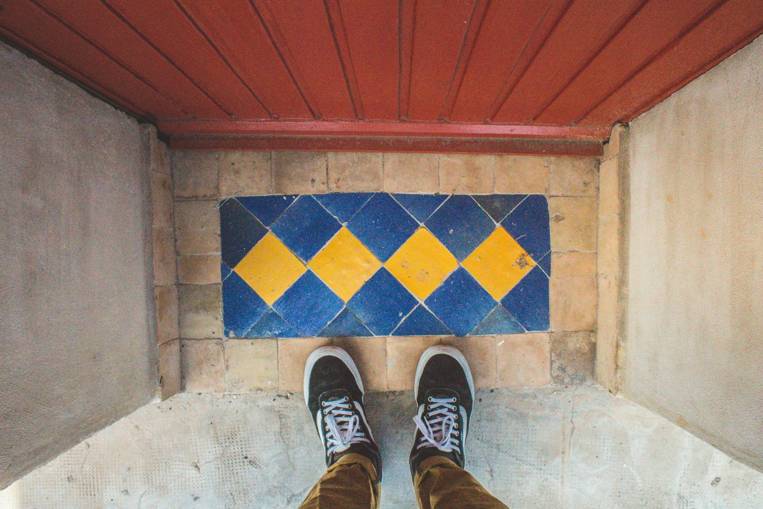 猫咪网站新动态揭秘，探索未来，与时俱进之路