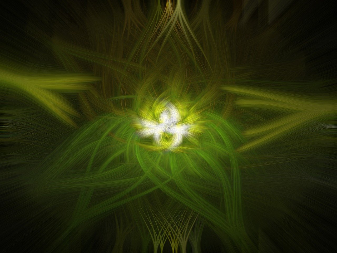 卡戴珊最新动态，时尚界的璀璨明星，生活艺术家的魅力风采