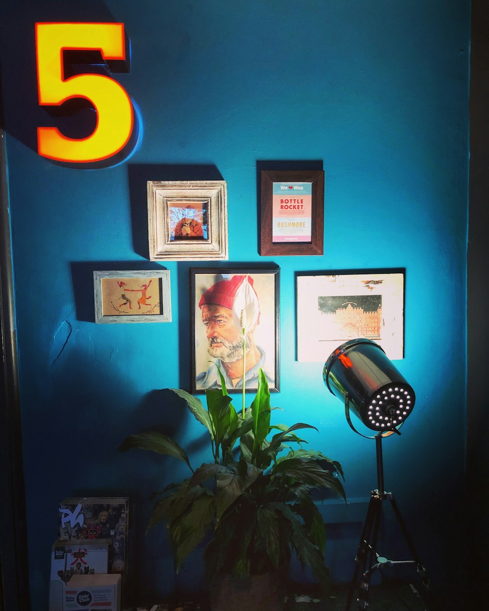 当下主流影视软件全面解析，哪个软件最适合看电影？