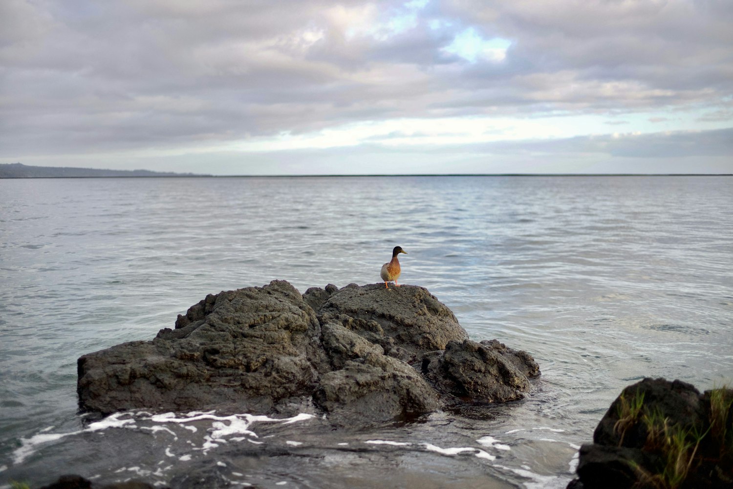 范冰冰最新动态,全球闪耀,引领时尚潮流之巅