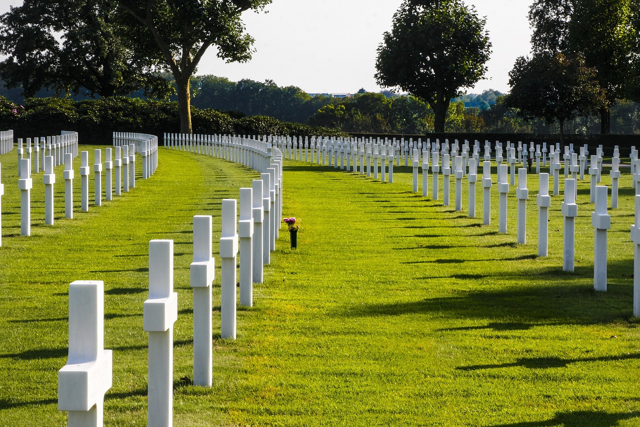 全球沙漠蝗虫入侵现象研究,最新动态与深度分析