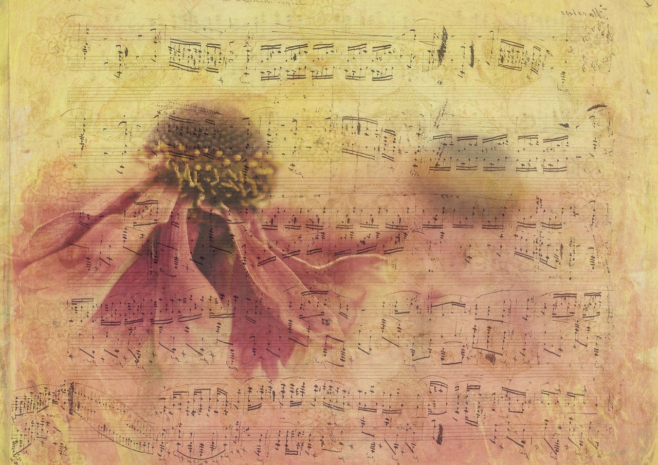 怀旧新加坡电视剧大全，经典剧集与美好回忆的回顾