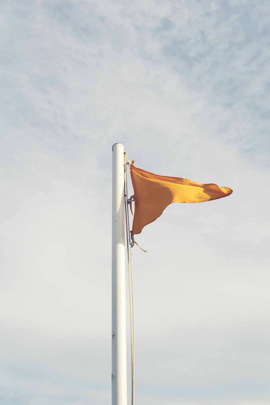 紫江企业股价动态更新，市场走势分析与展望