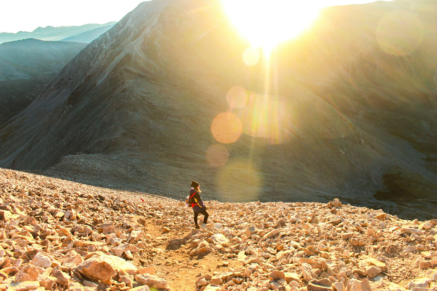 最新加勒比川骑熊奇观，自然与冒险的完美交融之旅
