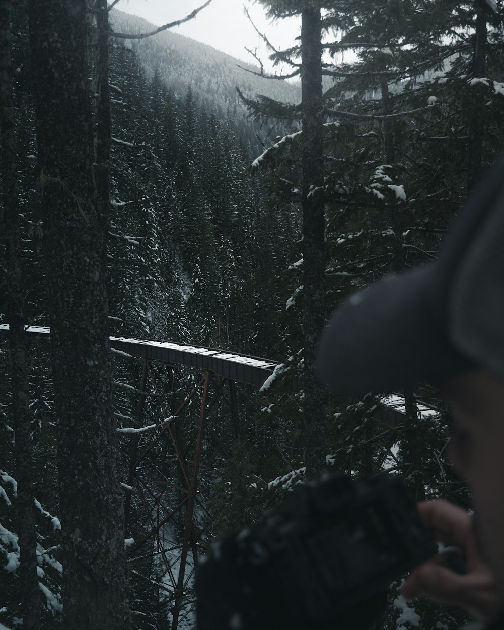 拨云见日电影,揭示真相的力量与希望之光启幕时刻